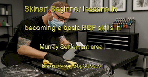 Skinart Beginner lessons in becoming a basic BBP skills in Murray Settlement area | BbpTraining | BbpClasses | SkinartTraining-Canada